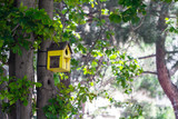 Fototapeta Miasto - Wooden birdhouse on a tree in the park