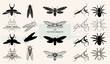Vector illustration. Various style of one object. Insects, beetles and spiders.