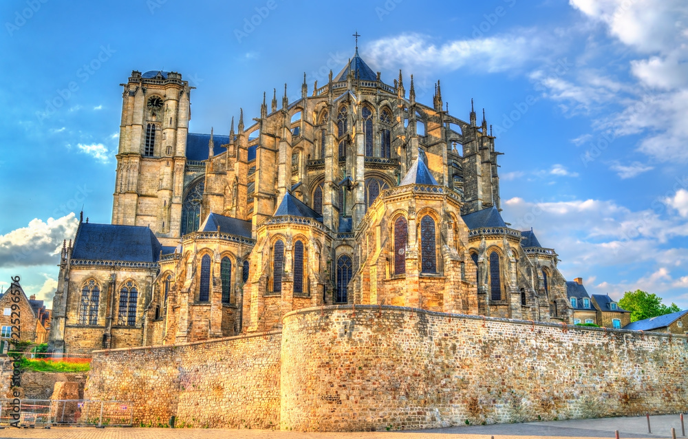 Saint Julien Cathedral of Le Mans in France - obrazy, fototapety, plakaty 