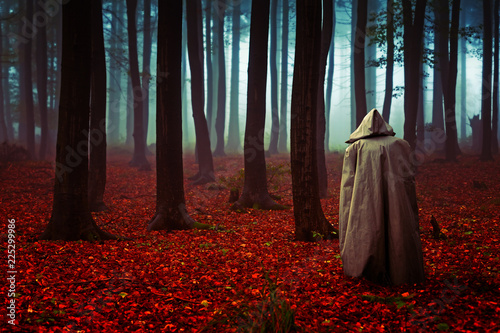 Fotografía Mönch mit Kutte in einem düsteren Herbstwald
