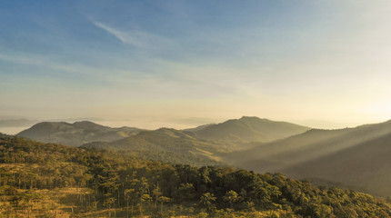 Wall Mural - Foggy summer morning in the mountains. Thailand.