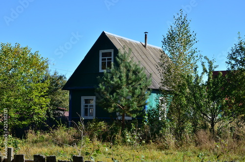 Zdjęcie XXL Pusty wiejski dom, wokół którego rośnie las.