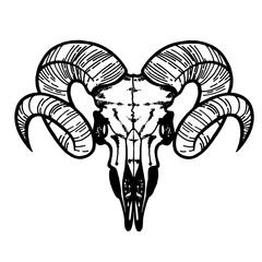 Wall Mural - Skull of a sheep. Horns silhouette. Vector illustration art.