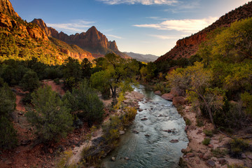 Wall Mural - the Watchman mountain and the virgin river in Zion National Park located in the Southwestern United States, near Springdale, Utah