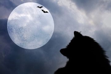 halloween background with silhouettes of black cat, bats and full moon