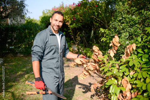 Cuadros en Lienzo handsome young man gardener trimming hedgerow in a garden park outdoor