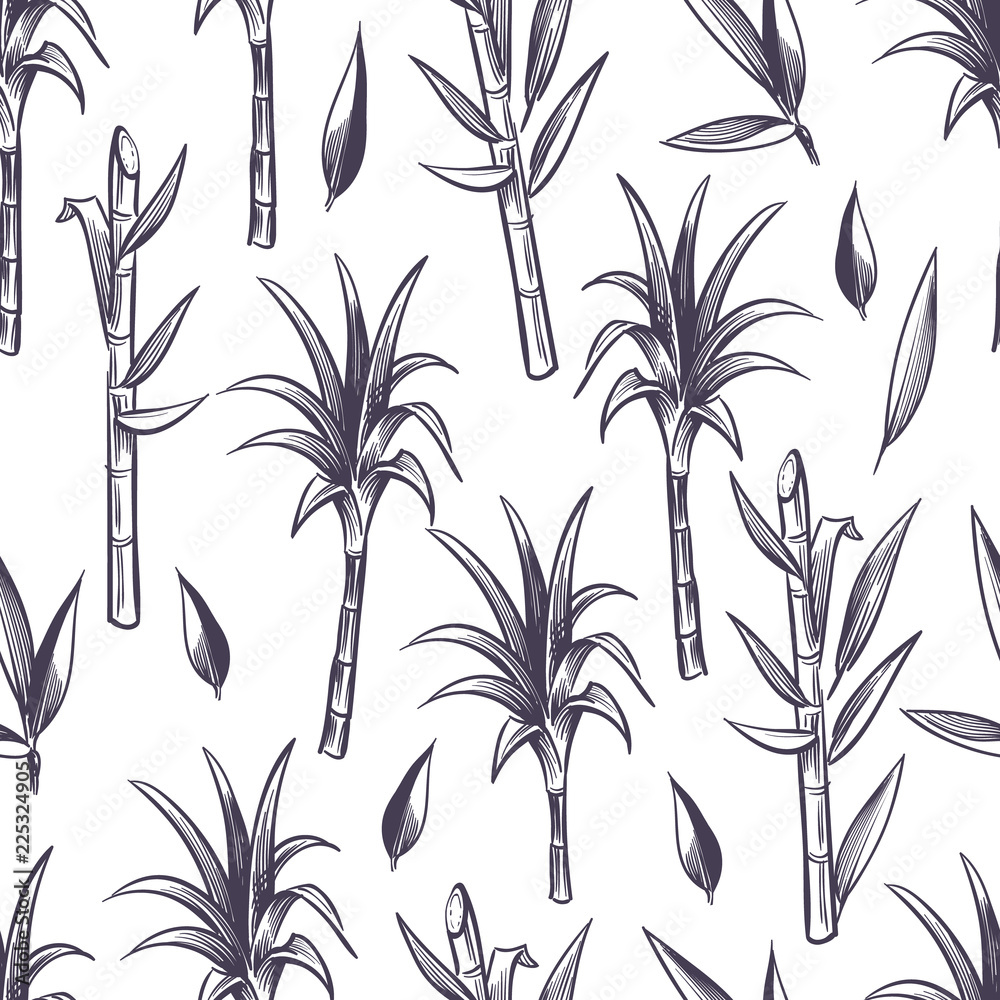 Sugar cane stalks with leaves, sugarcane plant vector seamless pattern.  Sugar stalk cane seamless background, sugarcane ingredient illustration  Stock Vector | Adobe Stock, image size:1000x1000