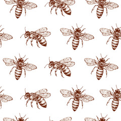 Wall Mural - Honey bee seamless pattern. Vintage doodle sketch wrapping vector background. Illustration of bee insect, vintage seamless pattern