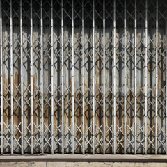 Wall Mural - old metallic door