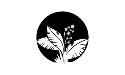Plant silhouette