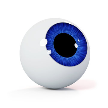 human eyeball with blue iris isolated with shadow on white background looking up (3d rendering)