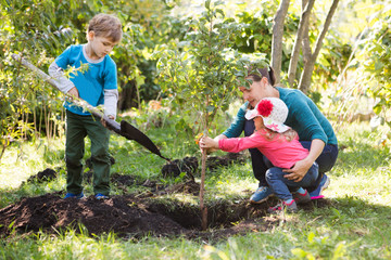 Wall Mural - Mother and two children brother and sister planting tree in a garden..