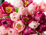 Fototapeta Tulipany -  bouquet of pink tulips