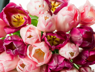 Poster -  bouquet of pink tulips