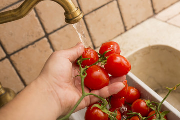 image of cherry tomatoes in plastic container while they are washed under water