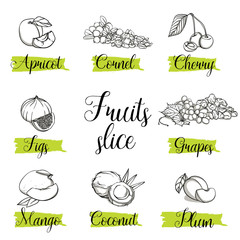 Hand drawn sketch style fruits and berries. Mango, apricot, plum, fig, grapes, cherry, dogwood, coconut. Organic fruit with leaf, vector doodle illustrations collection isolated on white background