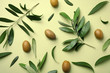 Flat lay composition with fresh green olive leaves, twigs and fruit on color background