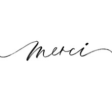 Merci Phrase. Thank You In French. Modern Vector Brush Calligraphy. 