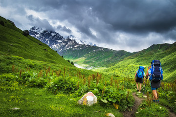 Wall Mural - hiking in the mountains. tourists with backpacks in mountain. trekking in svaneti region, georgia. t