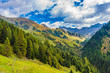Berglandschaft im Navistal Tirol