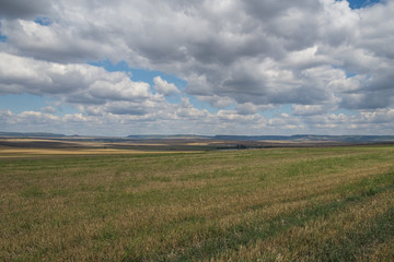 green field and blue sky