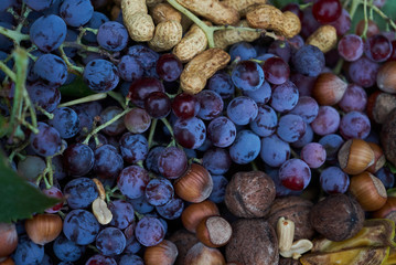 Wall Mural - Fresh fruits colorful background, close-up. Healthy Food background concept . Top view. Copy space