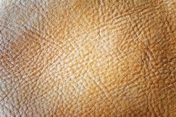 Beautiful beige skin texture close-up. Horizontal frame