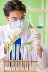 Young biotechnology scientist chemist working in lab