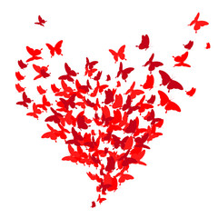 red heart, butterflies, valentine card