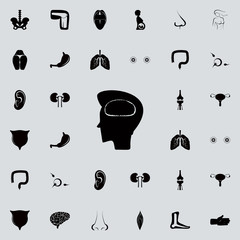 Poster - human brain icon. human parts icons universal set for web and mobile