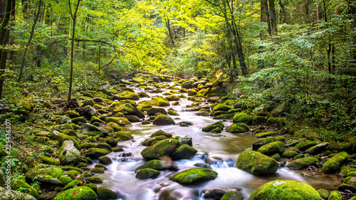 Cuadros en Lienzo Creek Running Through Roaring Fork in Smoky Mountains
