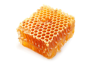 Honeycomb slice closeup on white