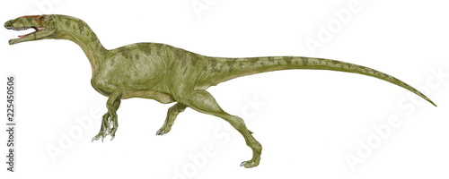 恐竜 ゴジラサウルス 日本を代表するモンスターであるゴジラのマニアである命名者が学名にその名を冠した 三畳紀後期としては最大級の大きさであった ディロフォサウルス に近い体型と思われている イラストはジュラ紀に至る以前の肉食恐竜としてふさわしい体型に描いた