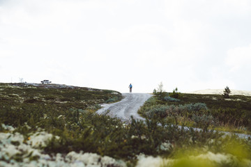 Wall Mural - Biking in the Rondane National Park