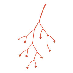Poster - Red plant branch icon. Flat illustration of red plant branch vector icon for web design