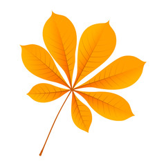 Poster - Autumn chestnut leaf icon. Flat illustration of autumn chestnut leaf vector icon for web design