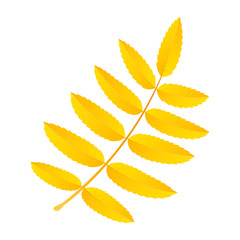 Poster - Yellow rowan leaf icon. Flat illustration of yellow rowan leaf vector icon for web design