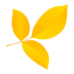 Poster - Autumn leaf icon. Flat illustration of autumn leaf vector icon for web design