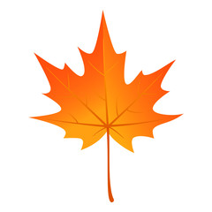 Poster - Autumn maple leaf icon. Flat illustration of autumn maple leaf vector icon for web design
