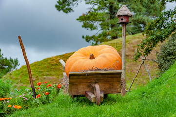 Old wooden wheelbarrow carrying a giant pumpkin lays on a grassland with large trees and a cute bird house in the background.