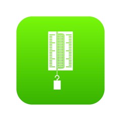Poster - physics dynamometer for laboratory work icon digital green for any design isolated on white vector i