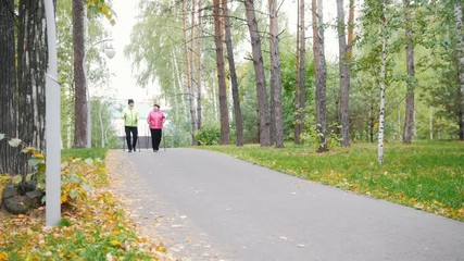 Wall Mural - Two elderly women are doing Scandinavian walking in the park