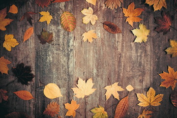 Autumn composition. Frame made of autumn dried leaves on dark wooden vintage background. Autumn, fall, background. Flat lay, top view, copy space 