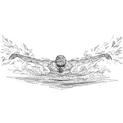 Poster - Swimmer. Isolated black vector illustration in low-poly style on a white background. The drawing consists of thin lines and dots. Polygonal image on topic of sport or health. Low poly EPS.