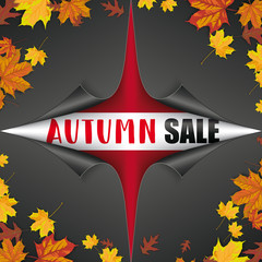 Wall Mural - scrolled paper cover 4 corner black autumn sale