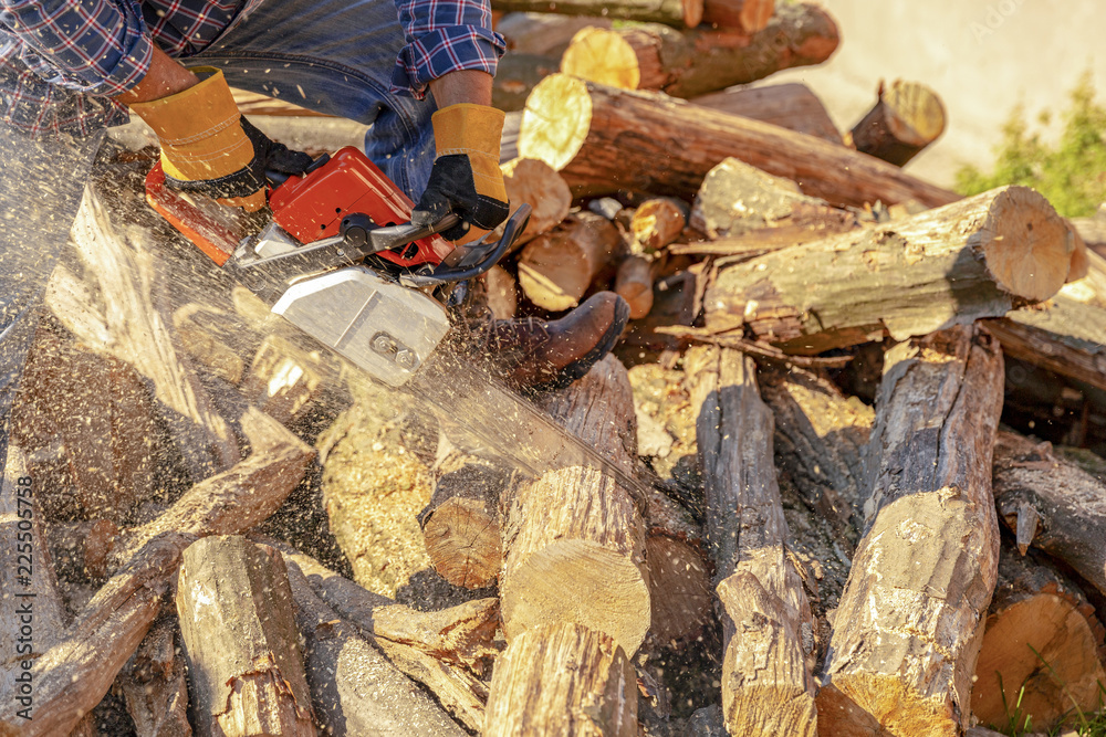 The worker works with a chainsaw. Chainsaw close up. Woodcutter saws ...