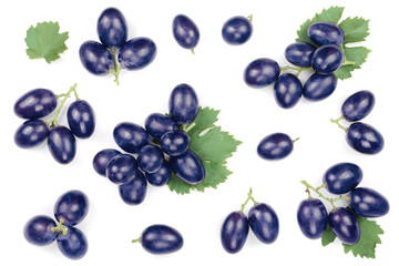 blue grapes isolated on the white background. Top view. Flat lay pattern