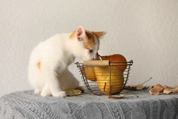 Wall Mural - Cute little kitten near basket with pears on table