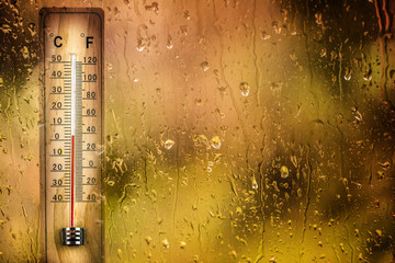 Wall Mural - Thermometer behind the drops window shows a low temperature