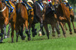 Race Horses Running Legs Hoofs Grass Track